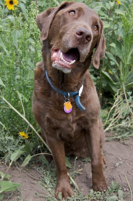 DSC 0116 - Version 3