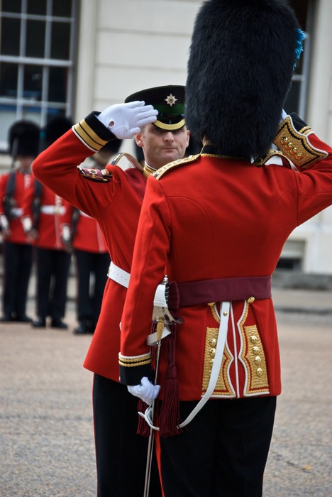 Guard Salute