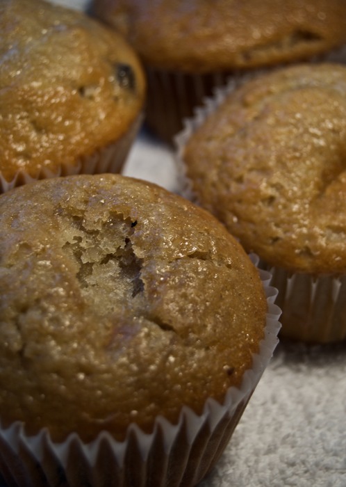 Muffins 2